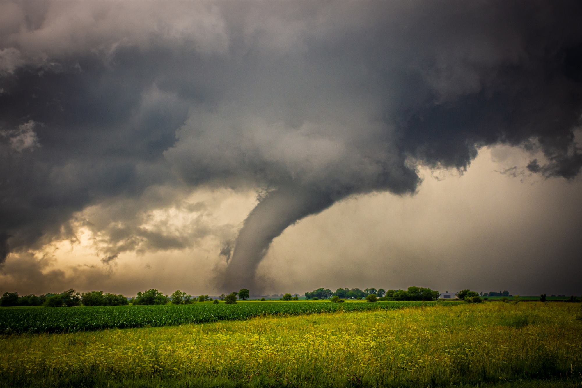 An elephant trunk tornado extending from a dark storm base over farmland.